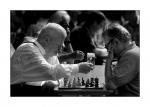 Die Schachspieler