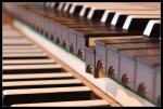 Wiedereinbau Orgel Gersfeld 12