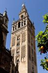 Giralda - Sevilla