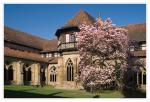 Kloster Maulbronn: Kreuzgang