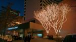 Leucht-Bäume Seoul