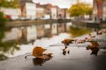 herbstliches Brügge