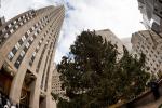 Rockefeller mit Baum (Fisheye)