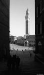 Siena, Torre del Mangia