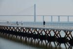 Ponte Vasco da Gama