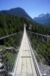 The Sky Pilot Suspension Bridge