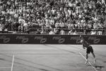 Rothenbaum 1