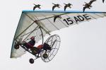 Voler avec les oiseaux