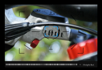 handlebar