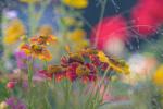 Balkon mit Bokeh raw