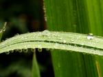 Nach dem Regen