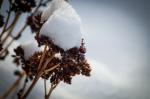 Mützen aus Schnee