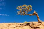 Bryce Canyon