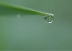 Drop