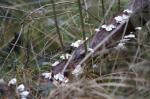 Test Sigma 100-300