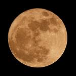 Mond 8 vom 19.03.2011 (ocker)