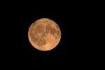 Erdbeermond