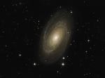 M81