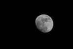 Mond 13.03.2014