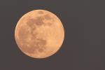 Mond_08.04.2020