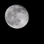 Vollmond 14.2.2006