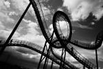 Tiger and Turtle