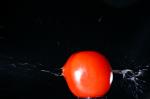 Tomate