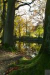 Schloss Rheydt im Herbst