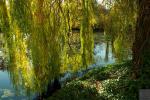 Schloss Rheydt im Herbst