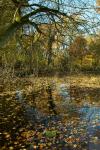 Schloss Rheydt im Herbst