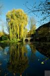 Schloss Rheydt im Herbst